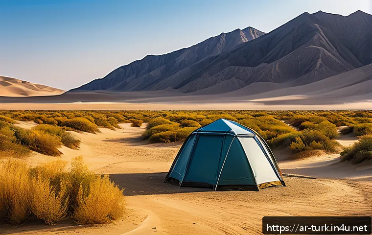 투르크메니스탄 관광 산업의 성장 관련 이미지 1